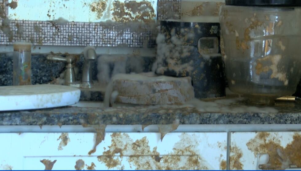 (Source: WECT)