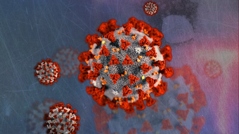 Thursday’s report brings the total number of cases since the outbreak began in South Carolina...