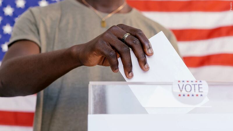 The Brunswick County Board of Elections on Nov. 9 shared the unofficial write-in vote count...
