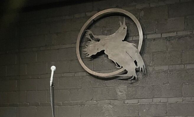 Julia Hladkowicz to perform at Dead Crow Comedy Room on June 7-8 - Vimarsana News