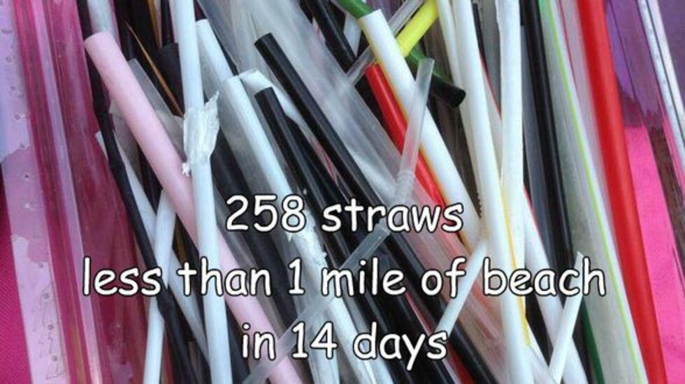 Wrightsville Beach Keep It Clean's Ginger Taylor decided she was fed up with finding straws on...
