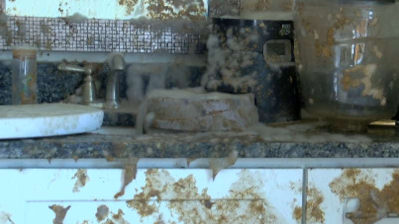 (Source: WECT)